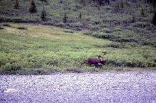 nahanni033.jpg