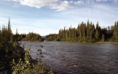 nahanni038.jpg - Click image for larger version  Name:	nahanni038.jpg Views:	0 Size:	505.8 KB ID:	100112