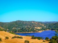 new-melones-lake-golden-hills-black-oak-trees-new-melones-lake-golden-hills-120447325.jpg