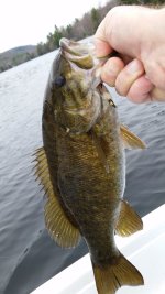 smallmouth.jpg