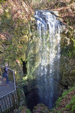 falling-waters-state-park.jpg