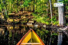 Canoe Carry Green Pond to Follensby Clear Pond June 19th 2020 Saranac Lake NY_01Copyright.jpg