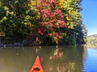 Stillwater murky water red tree.jpg