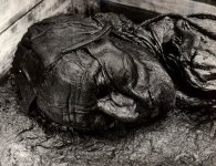 tollund man.JPG