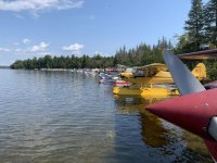 float planes.jpg