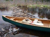 canoeonbeaverdampr2_640x480_zps216c6bfd (1).jpg