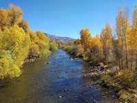 steamboat river.jpg