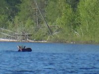 2014_Quetico 149.jpeg