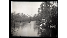 Standing Mullica 1906.png