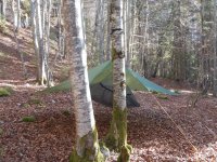 Hammock Lac de Joux.JPG