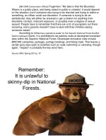 Smokey Says.jpg