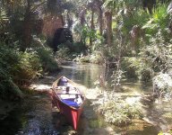 Juniper Springs water wheel.JPG