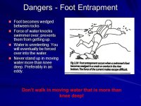 Dangers+-+Foot+Entrapment.jpg