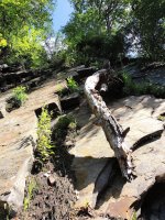 Lovers Leap Gorge walls.JPG