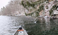 Ice beads on branch tips, snowflake on lens.jpg