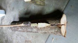 ImageUploadedByTapatalk1525845776.3523.jpg