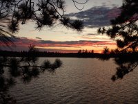 Evening view from the tent.jpg