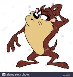 taz-tasmanian-devil-illustration-cartoon-scratching-head-M95X4J.jpg