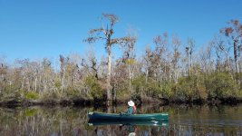 St. Mary's River GA-FL border.jpg